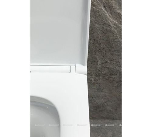 Унитаз подвесной Allen Brau Priority Tornado без сиденья 490x360 мм белый 4.31009.20