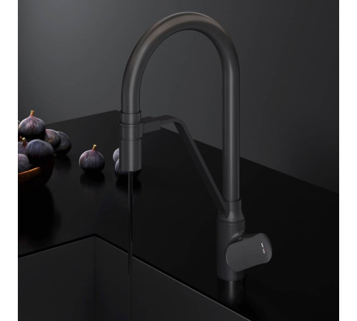 Смеситель для кухни AM.PM Like с каналом для питьевой воды и гибким изливом F8007822