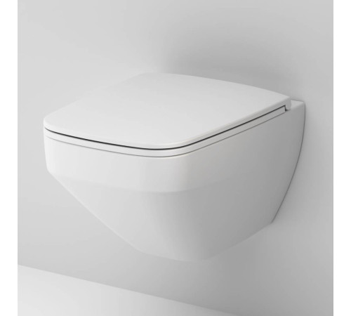 Унитаз подвесной AM.PM Inspire V2.0 FlashClean с сиденьем микролифт белый матовый C50A1700MWSC