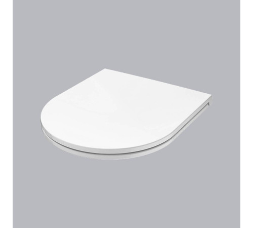 Сиденье для унитаза AM.PM Inspire V2.0 с микролифтом быстросъемное C507853WH