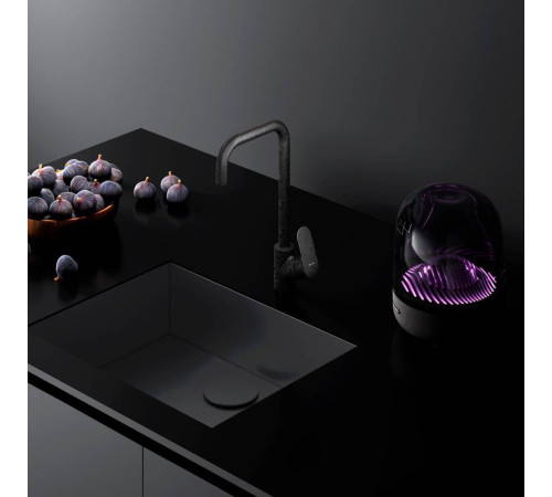 Смеситель для кухни AM.PM Like черный F8006022