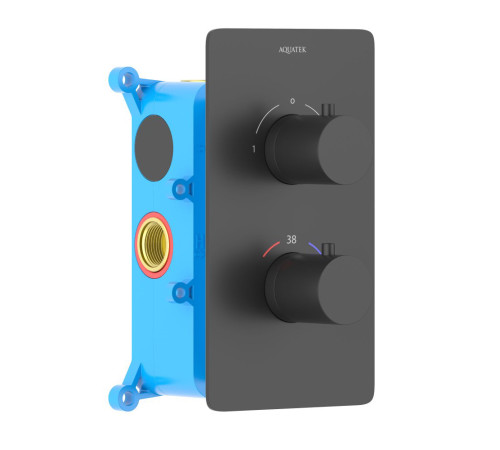 Смеситель термостатический для ванны Aquanet Европа 2 режима комплект со скрытой частью матовый черный AQ1392MB