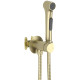 Комплект для гигиенического душа встроенный Aquatek Европа шлифованное золото AQ1020BG