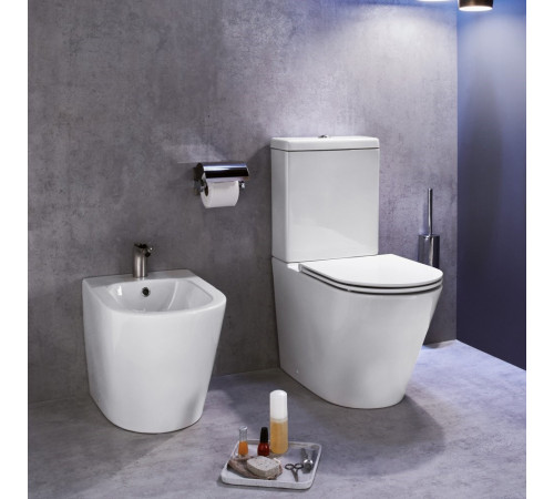 Биде напольное Jacob Delafon Rodin EBJ0002-00