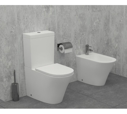 Биде напольное Jacob Delafon Rodin EBJ0002-00