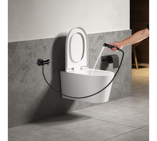 Смеситель для биде Lemark Solo встраиваемый с гигиеническим душем черный LM7166BL