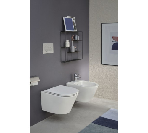 Биде подвесное Jacob Delafon Rodin белый EMJ0002-00