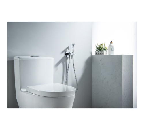 Комплект для гигиенического душа встроенный Aquatek Европа AQ1021CR