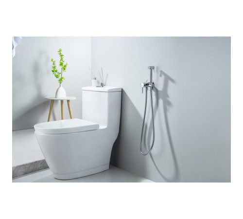 Комплект для гигиенического душа встроенный Aquatek Европа AQ1021CR