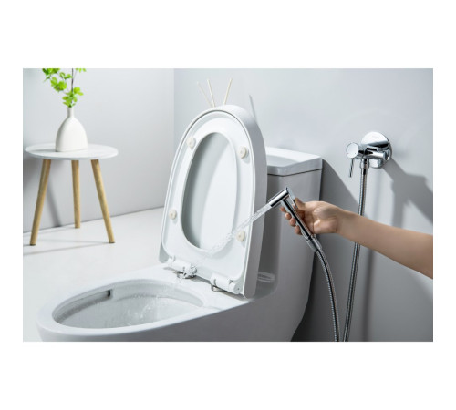 Комплект для гигиенического душа встроенный Aquatek Европа AQ1021CR