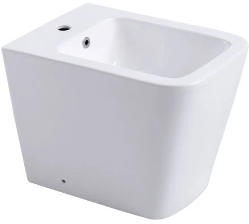 Биде напольное Aquanet Libra New 560х370х400 мм AQ1266N-00