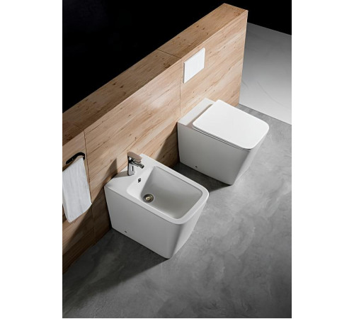 Биде напольное Aquanet Libra New 560х370х400 мм AQ1266N-00