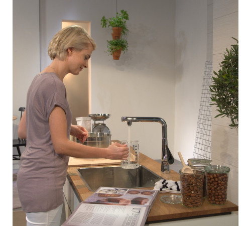 Смеситель для кухни Hansgrohe Talis S 300 72820000