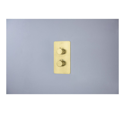 Смеситель термостатический для ванны Aquanet Европа 2 режима комплект со скрытой частью шлифованное золото AQ1392BG