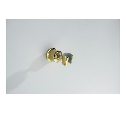 Держатель ручного душа Aquanet Классик полированное золото AQ2407PG