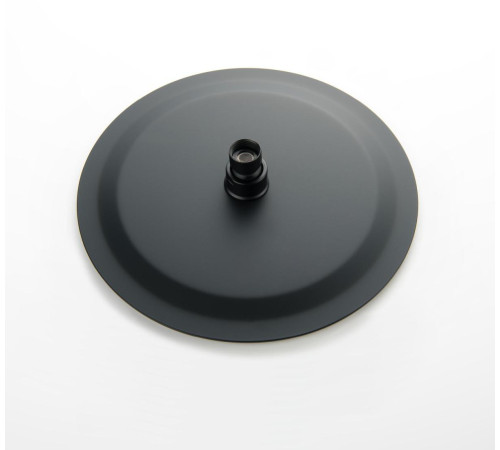 Верхний душ Aquanet AQ2073MB круглый 250х2 мм матовый черный AQ2073MB