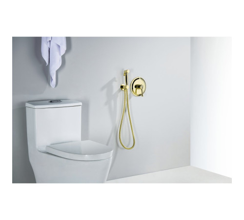 Набор с гигиеническим душем Aquanet Классик со смесителем полированное золото AQ1519PG