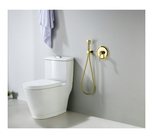 Набор с гигиеническим душем Aquanet Классик со смесителем полированное золото AQ1519PG