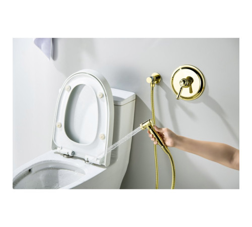 Набор с гигиеническим душем Aquanet Классик со смесителем полированное золото AQ1519PG