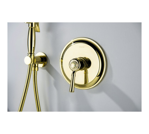 Набор с гигиеническим душем Aquanet Классик со смесителем полированное золото AQ1519PG