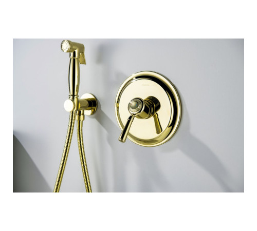 Набор с гигиеническим душем Aquanet Классик со смесителем полированное золото AQ1519PG
