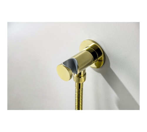 Набор с гигиеническим душем Aquanet Классик со смесителем полированное золото AQ1519PG