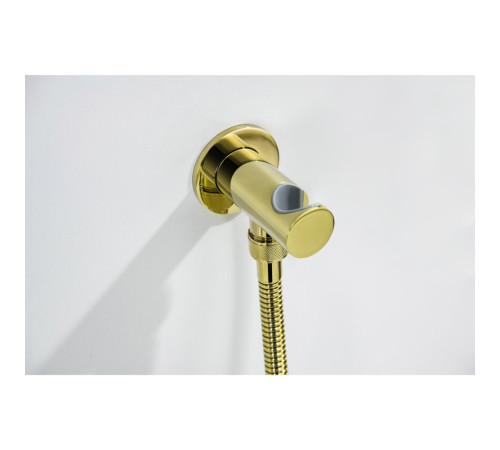 Набор с гигиеническим душем Aquanet Классик со смесителем полированное золото AQ1519PG