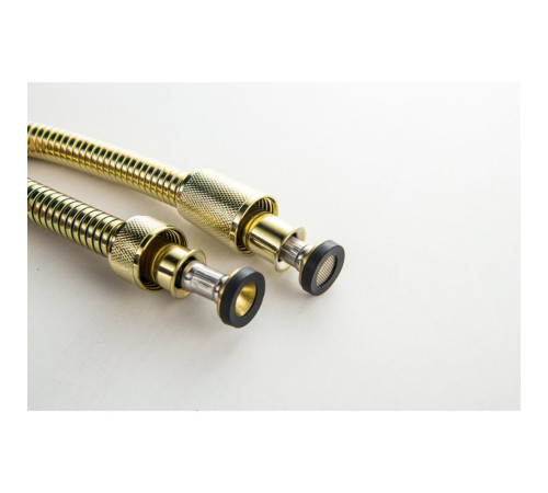 Набор с гигиеническим душем Aquanet Классик со смесителем полированное золото AQ1519PG