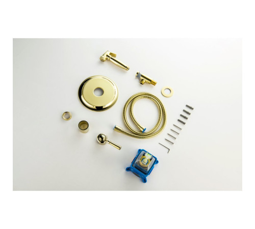 Набор с гигиеническим душем Aquanet Классик со смесителем полированное золото AQ1519PG