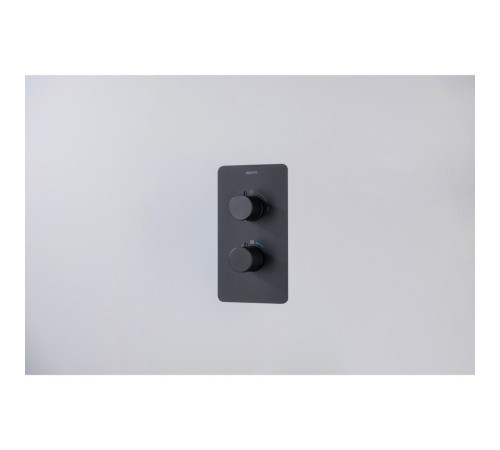 Смеситель термостатический для ванны Aquanet Европа 2 режима комплект со скрытой частью матовый черный AQ1392MB