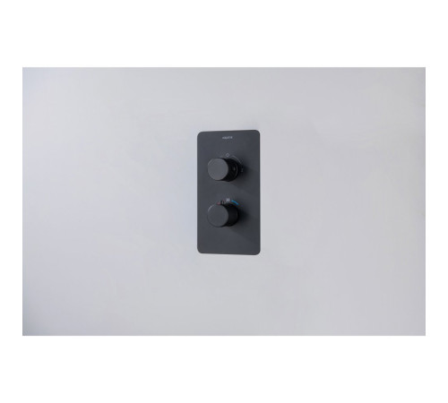 Смеситель термостатический для ванны Aquanet Европа 2 режима комплект со скрытой частью матовый черный AQ1392MB