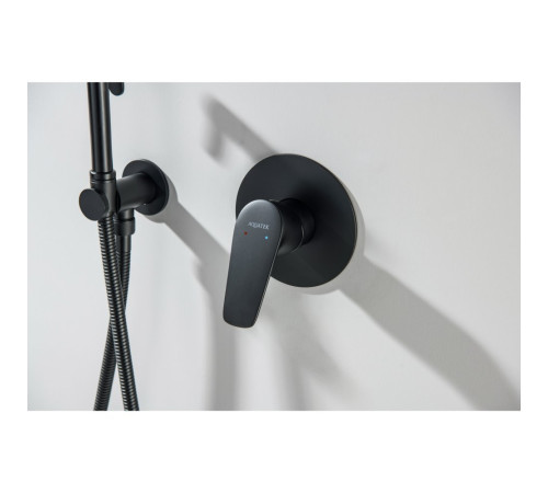 Смеситель для душа Aquanet Бетта скрытого монтажа 1 режим матовый черный AQ1166MB