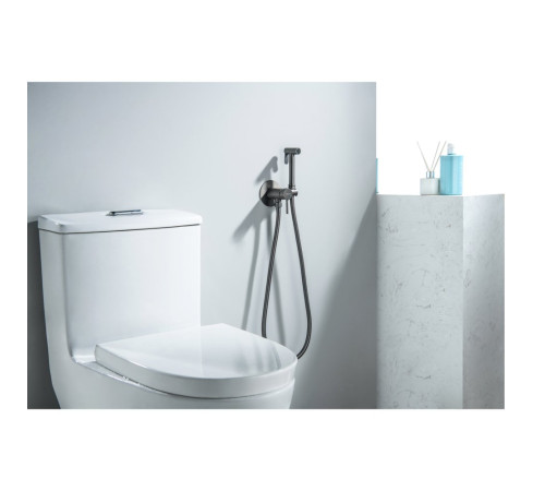 Комплект для гигиенического душа встроенный Aquatek Европа оружейная сталь AQ1021BGM