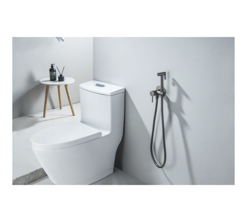 Комплект для гигиенического душа встроенный Aquatek Европа оружейная сталь AQ1021BGM