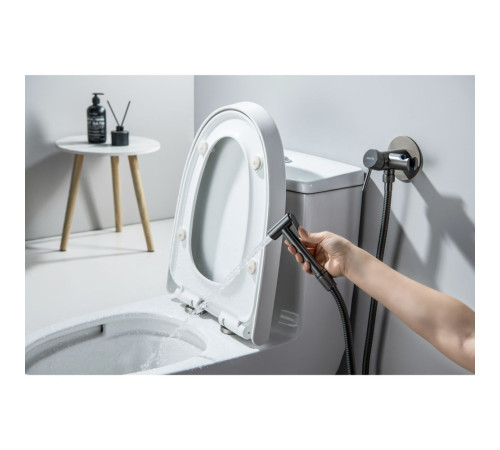 Комплект для гигиенического душа встроенный Aquatek Европа оружейная сталь AQ1021BGM