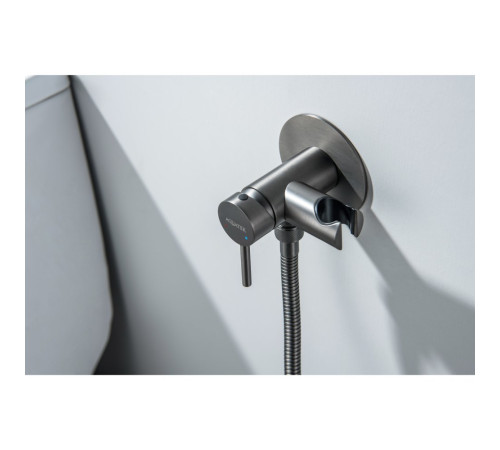 Комплект для гигиенического душа встроенный Aquatek Европа оружейная сталь AQ1021BGM