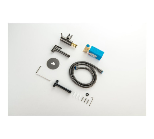 Комплект для гигиенического душа встроенный Aquatek Европа оружейная сталь AQ1021BGM