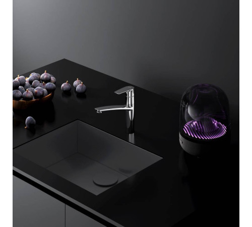 Смеситель для кухни AM.PM Gem F90A00000