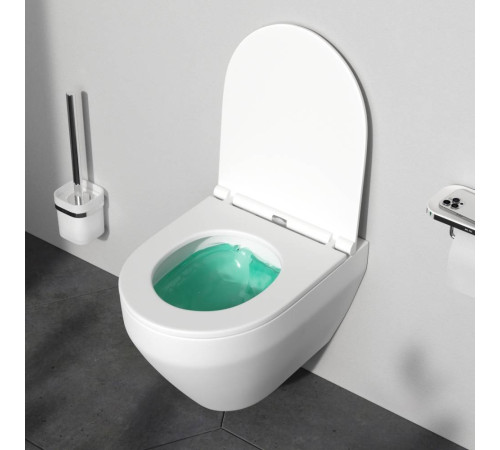 Унитаз подвесной AM.PM Spirit V2.0 FlashClean с сиденьем микролифт матовый C701700MWSC