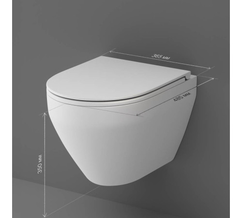 Унитаз подвесной AM.PM Spirit V2.0 FlashClean с сиденьем микролифт матовый C701700MWSC