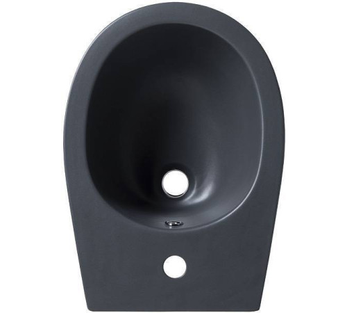 Биде подвесное Allen Brau Fantasy серый 4.11006.AN