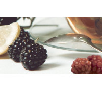 Декор Ceradim Tea 1 25х45 см КВС16Tea1