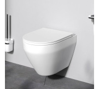 Унитаз подвесной AM.PM Spirit V2.0 FlashClean с сиденьем микролифт матовый C701700MWSC