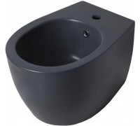 Биде подвесное Allen Brau Fantasy серый 4.11006.AN