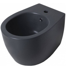 Биде подвесное Allen Brau Fantasy серый 4.11006.AN