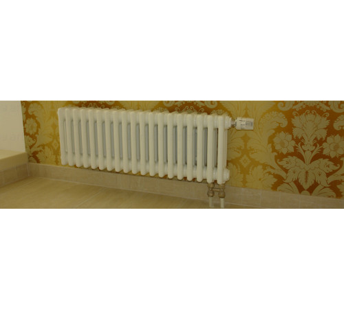 Трубчатый радиатор Arbonia 3030 12 секций нижнее подключение 3030/12 N69 твв RAL 9016