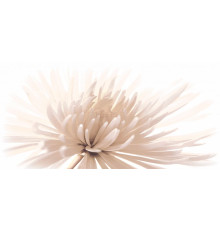 Декор Cersanit Emma 29.7х60 см EA2L051