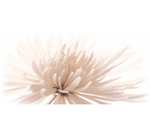 Декор Cersanit Emma 29.7х60 см EA2L051