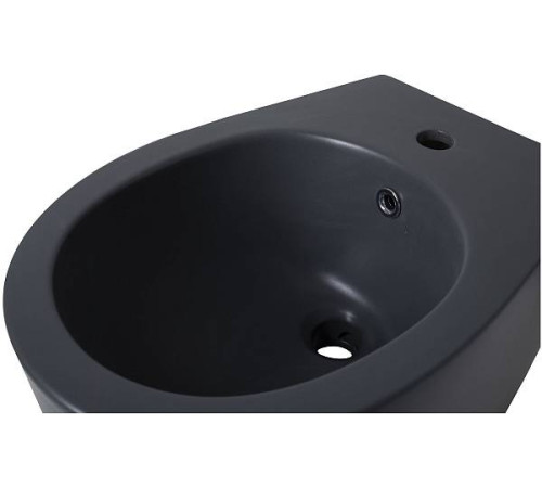 Биде подвесное Allen Brau Fantasy серый 4.11006.AN