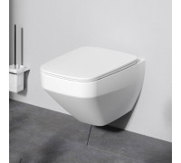 Унитаз подвесной AM.PM Inspire V2.0 FlashClean с сиденьем микролифт белый матовый C50A1700MWSC